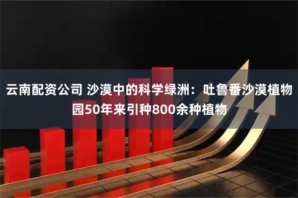 云南配资公司 沙漠中的科学绿洲：吐鲁番沙漠植物园50年来引种800余种植物