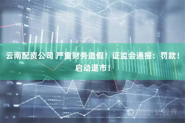 云南配资公司 严重财务造假！证监会通报：罚款！启动退市！