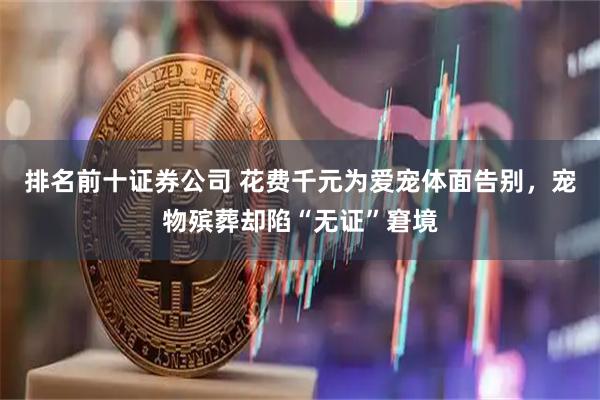 排名前十证券公司 花费千元为爱宠体面告别，宠物殡葬却陷“无证”窘境