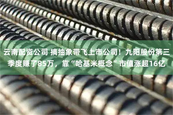 云南配资公司 搞抽象带飞上市公司！九阳股份第三季度赚了85万，靠“哈基米概念”市值涨超16亿