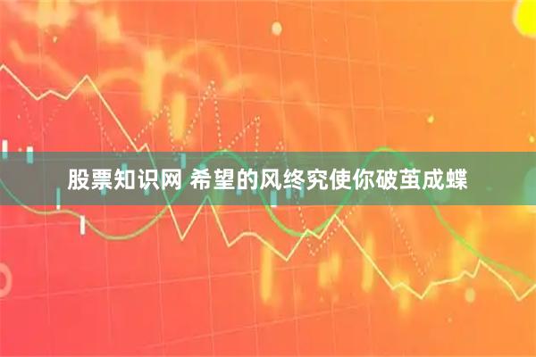 股票知识网 希望的风终究使你破茧成蝶
